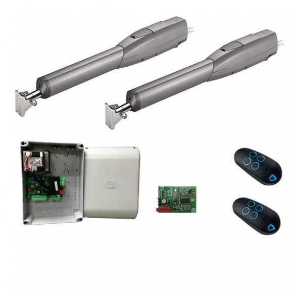 CAME ATS50DGM KIT Автоматика для распашных ворот